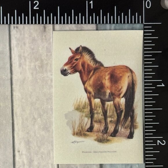 🌀10/$10🌀 Classic Hoofed Beasts Reusable Washi Sticker Decal - Picture 1 of 1